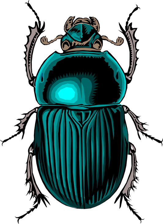 Egyptian scarab beetle — Khepri