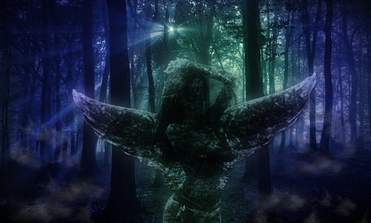 Light through a foggy forest, suggesting forest spirits