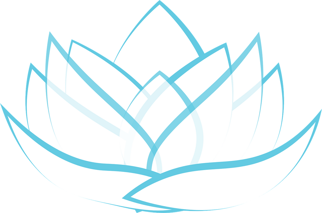 A lotus flower opening on still water