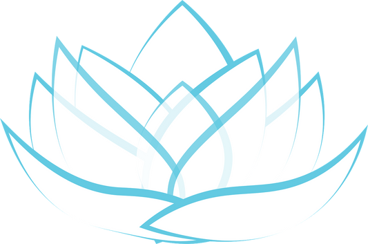 A lotus flower opening on still water